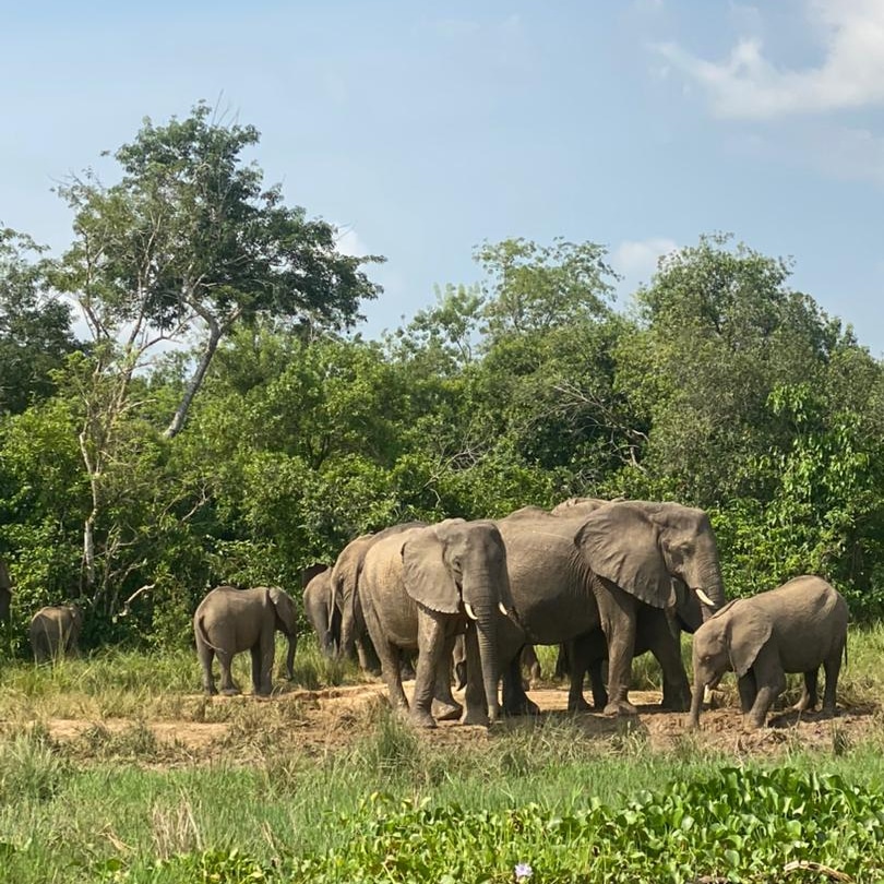 When to visit Uganda