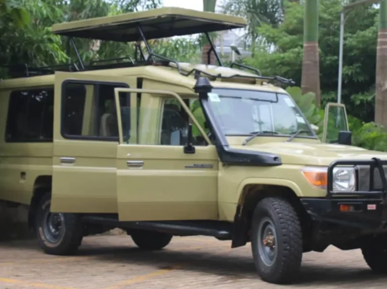 Land Cruiser Troopy with pop-up roof1