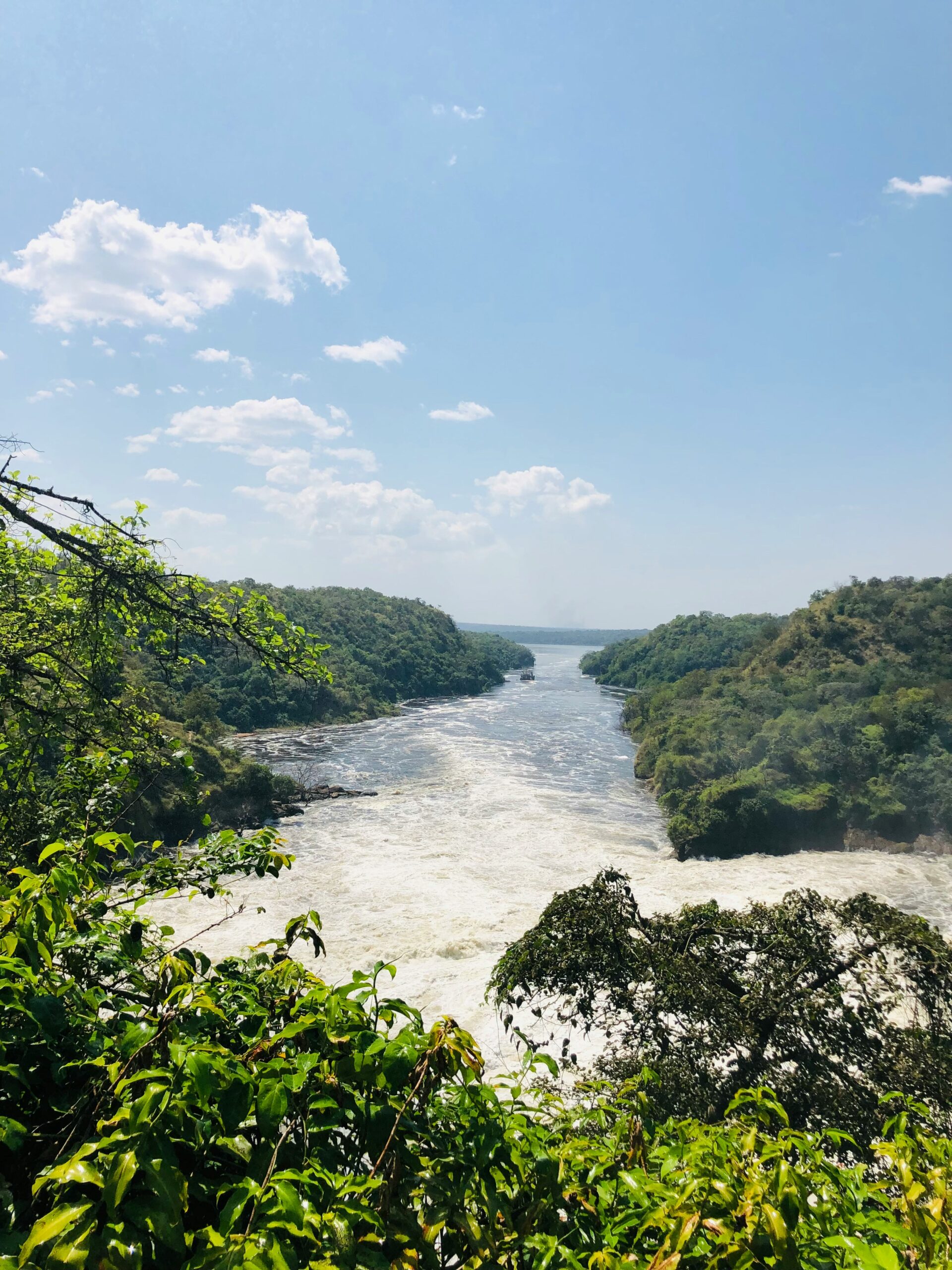 murchison-falls-activities