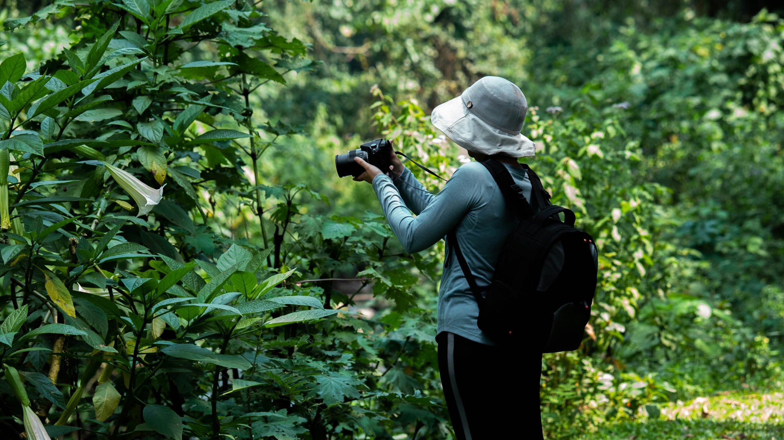 Gorilla Trekking Definition