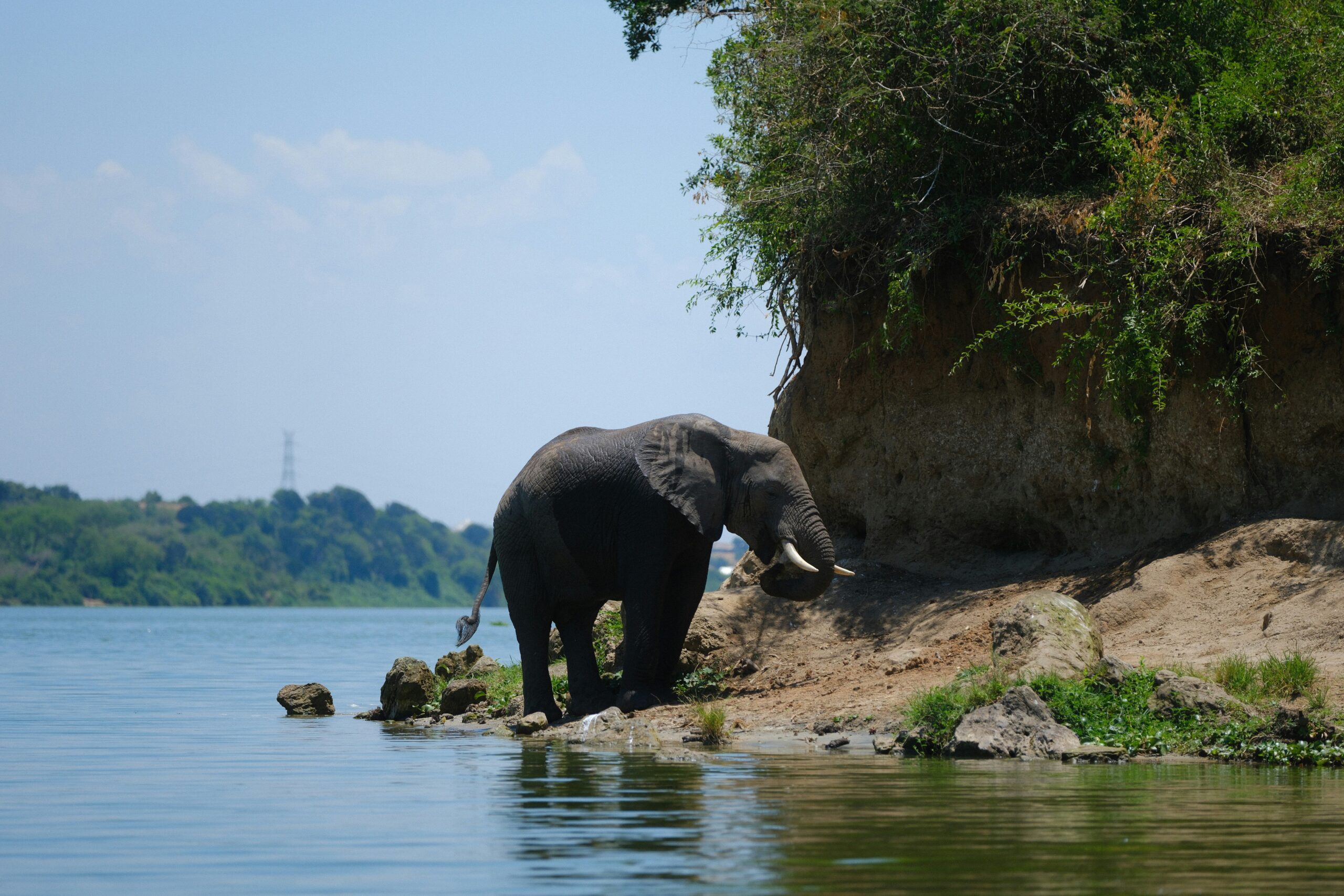 Queen Elizabeth National Park Uganda: