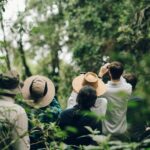 Best Time of Year for Gorilla Trekking in Rwanda
