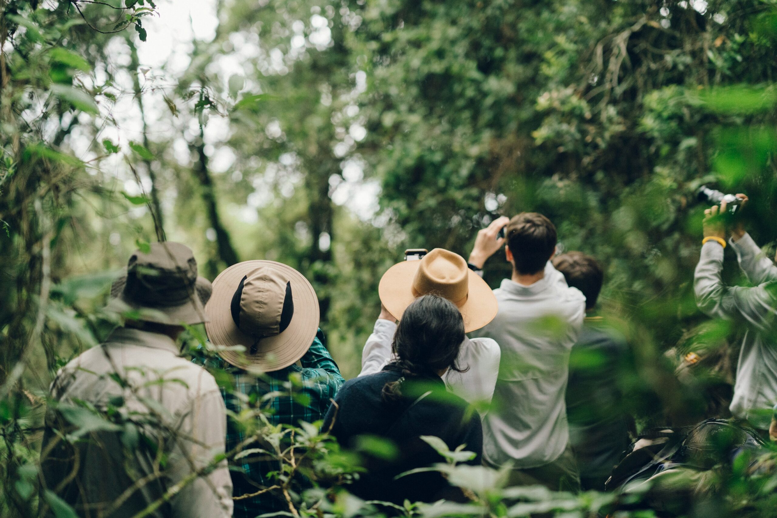 Best Time of Year for Gorilla Trekking in Rwanda